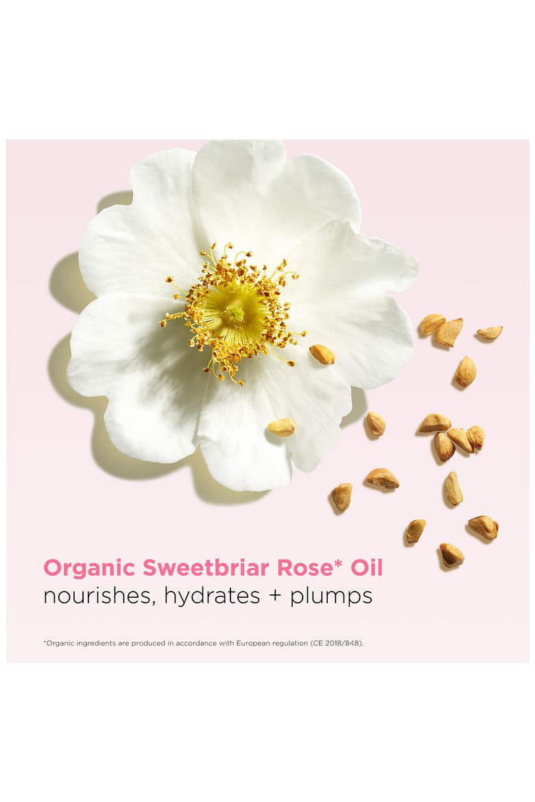 Hydrating Peptide & Plumping Lip Oil Balm, Alternate, color, ALMOND