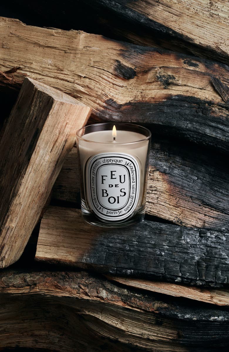 Diptyque Feu de Bois (Wood Fire) Classic Candle, Alternate, color, 