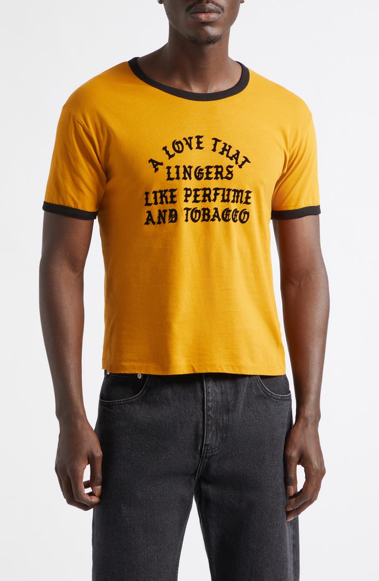Second Layer A Love That Lingers Cotton Ringer T-Shirt, Main, color, Mustard/ Black
