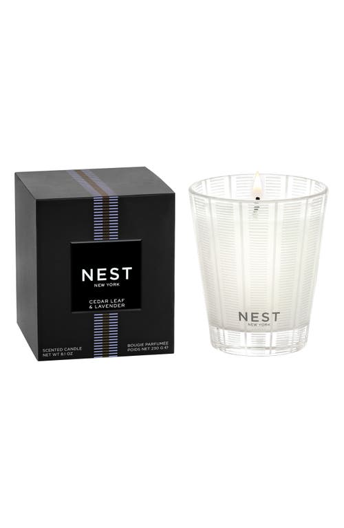 Nest New York Cedar Leaf & Lavender Candle