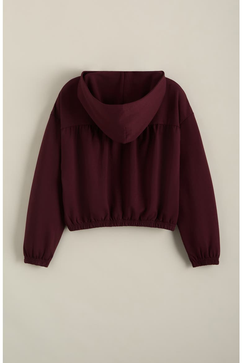 Kids' Bubble Icon Hoodie, Alternate, color, BURGUNDY STEM