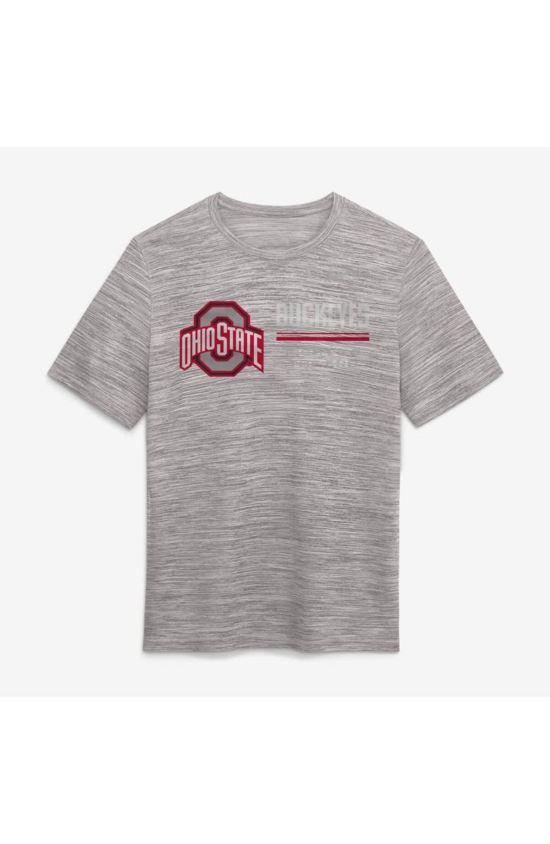 Nike Men's Nike Gray Ohio State Buckeyes Sideline Velocity Dri-FIT T-Shirt, Alternate, color, Gray