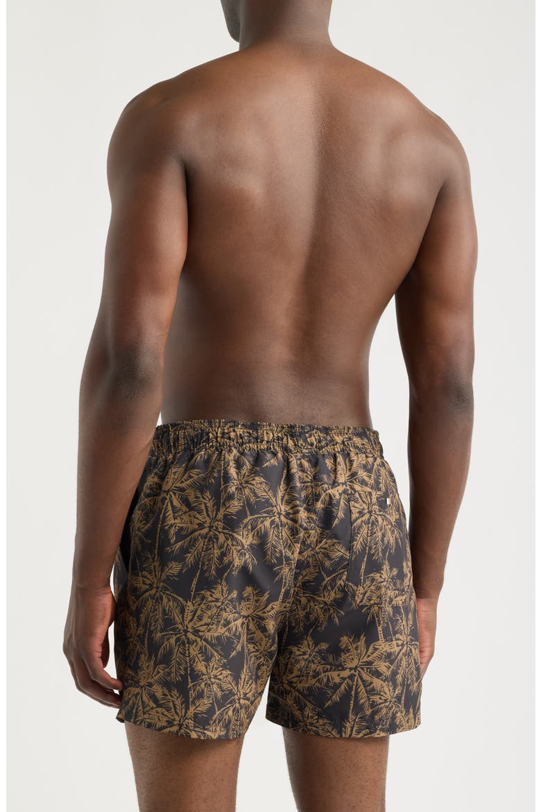 Bream Swim Trunks, Alternate, color, BLACK