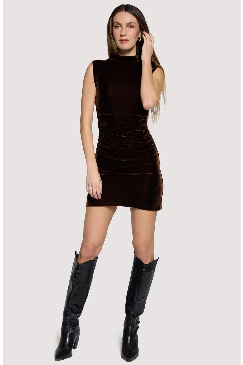 Woodland Hour Ruched Sleeveless Velvet Minidress, Alternate, color, BROWN
