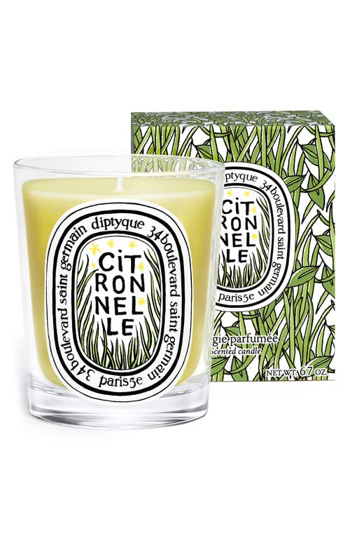 Diptyque Citronelle Classic Candle In Green