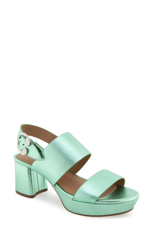 AEROSOLES AEROSOLES CAMERA PLATFORM SANDAL