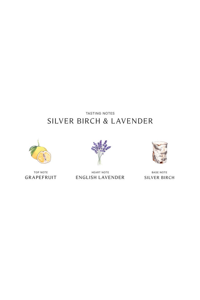 Silver Birch & Lavender Cologne, Alternate, color, NO COLOR