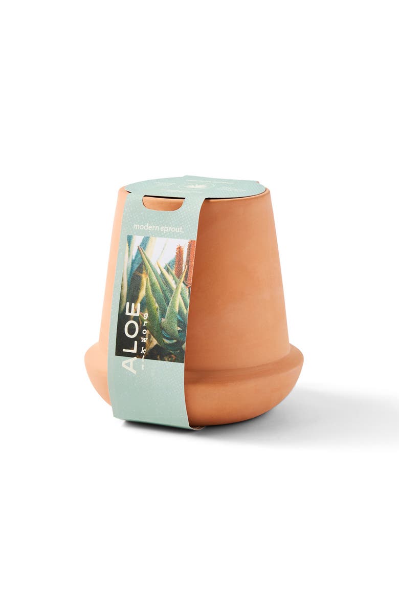 Terracotta Grow Kit, Main, color, Aloe