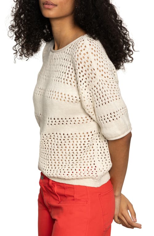 SANCTUARY SANCTUARY STRIPE OPEN STITCH ELBOW SLEEVE COTTON SWEATER 