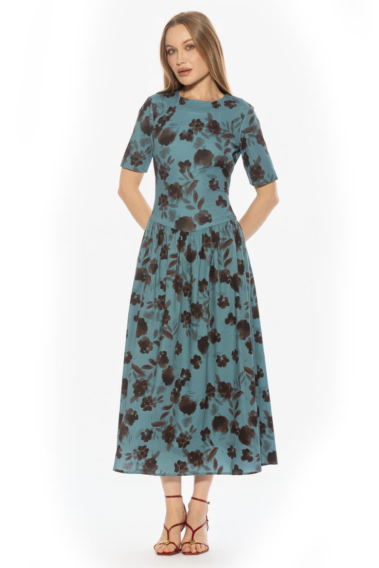 Rowan Crewneck Midi Dress, Alternate, color, BLUE FLORAL