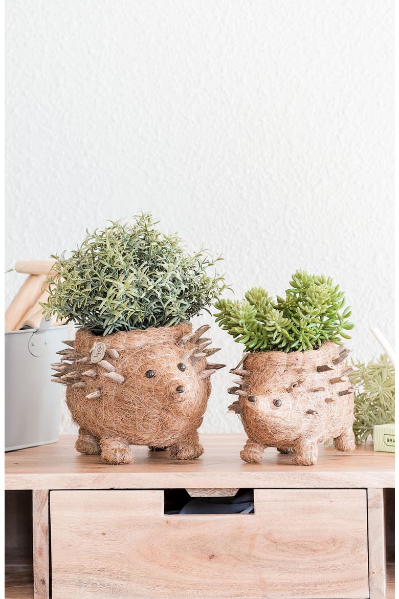 Baby Hedgehog Handwoven Planter, Alternate, color, BROWN
