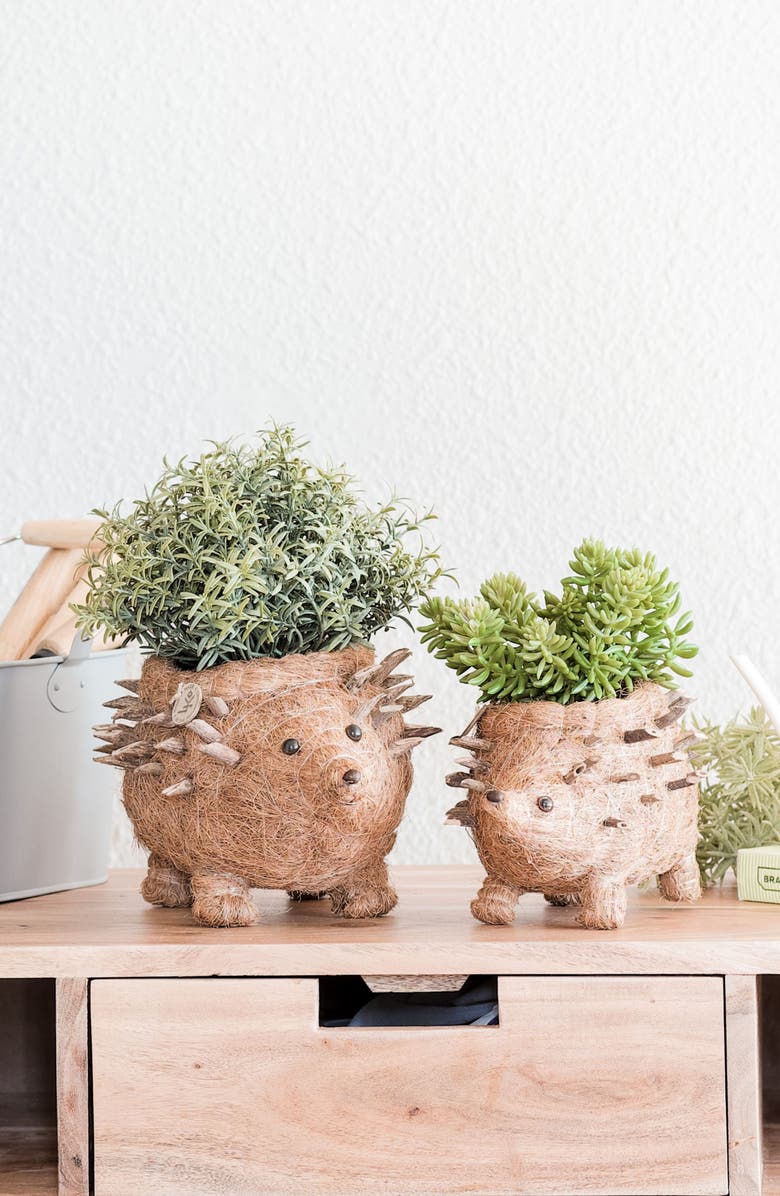 LIKHA Baby Hedgehog Handwoven Planter, Alternate, color, Brown