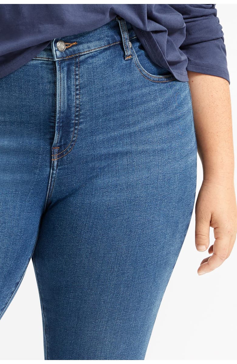 Everlane The Authentic Stretch Mid-Rise Skinny Jeans, Alternate, color,