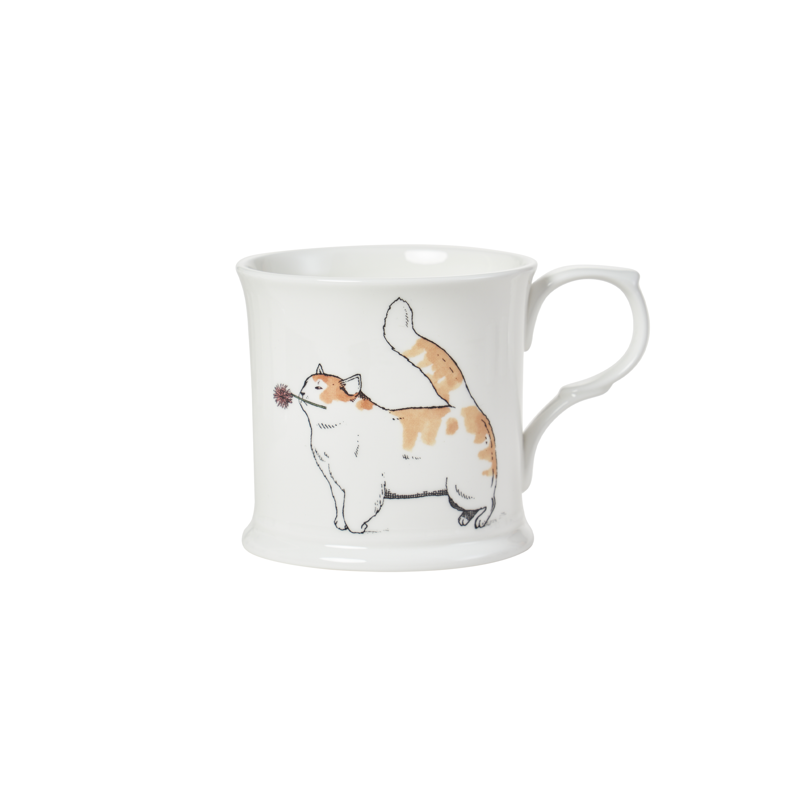 selected Happy Cat