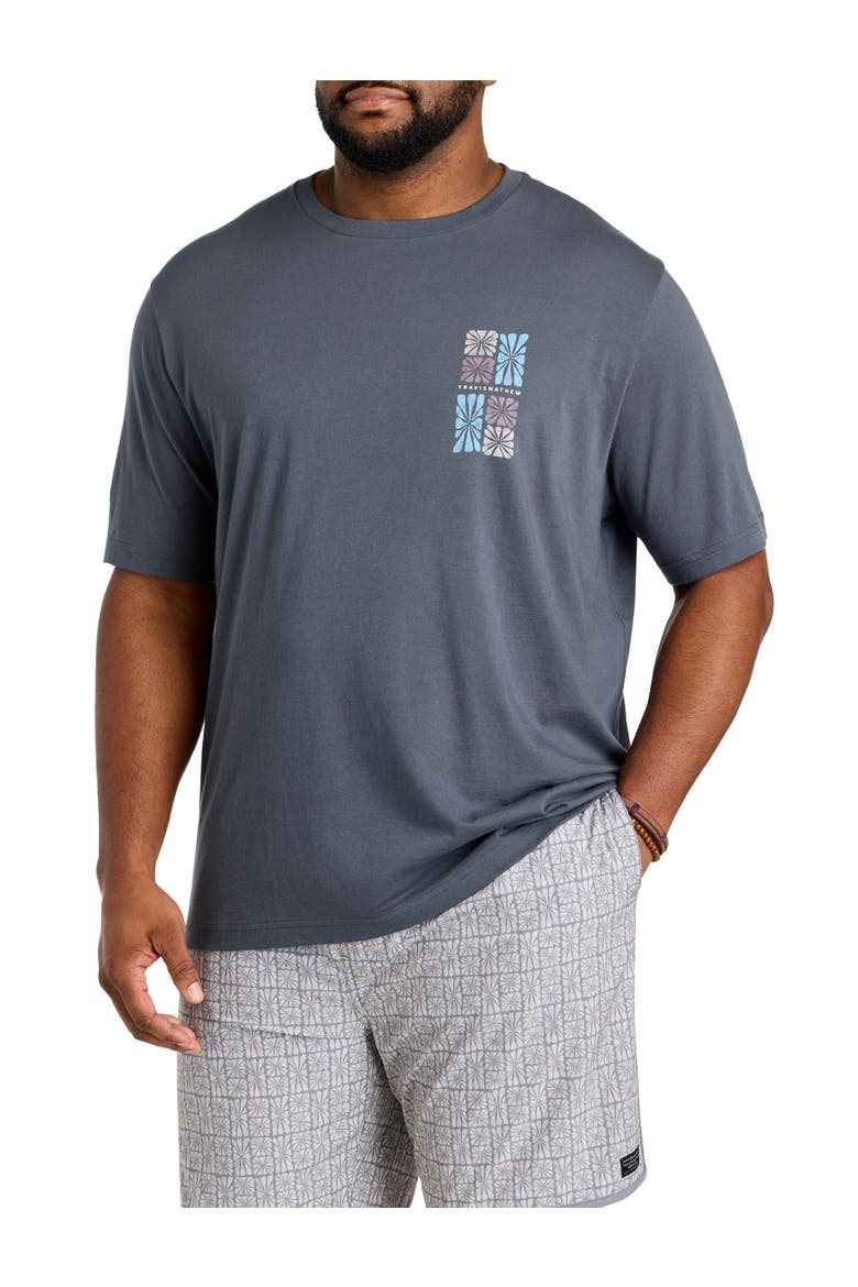 Big & Tall Cabana T-Shirt, Main, color, EBONY
