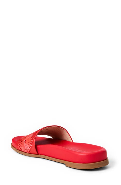 Jack Rogers Somerset Embroidered Slide Sandal