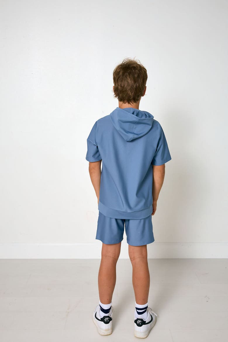 Short Sleeve Hoodie, Alternate, color, Slate