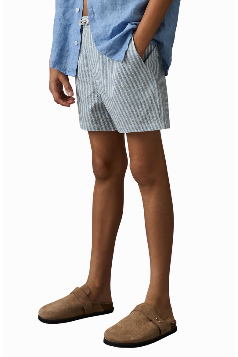 Bay Seersucker Striped Swim Shorts, Alternate, color, SOFT BLUE/ WHITE