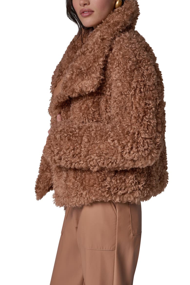 Faux Fur Teddy Jacket, Alternate, color, CAMEL