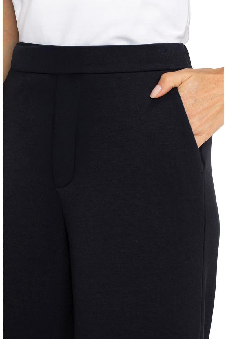Pull On Wide Leg Pants, Alternate, color, BLACK