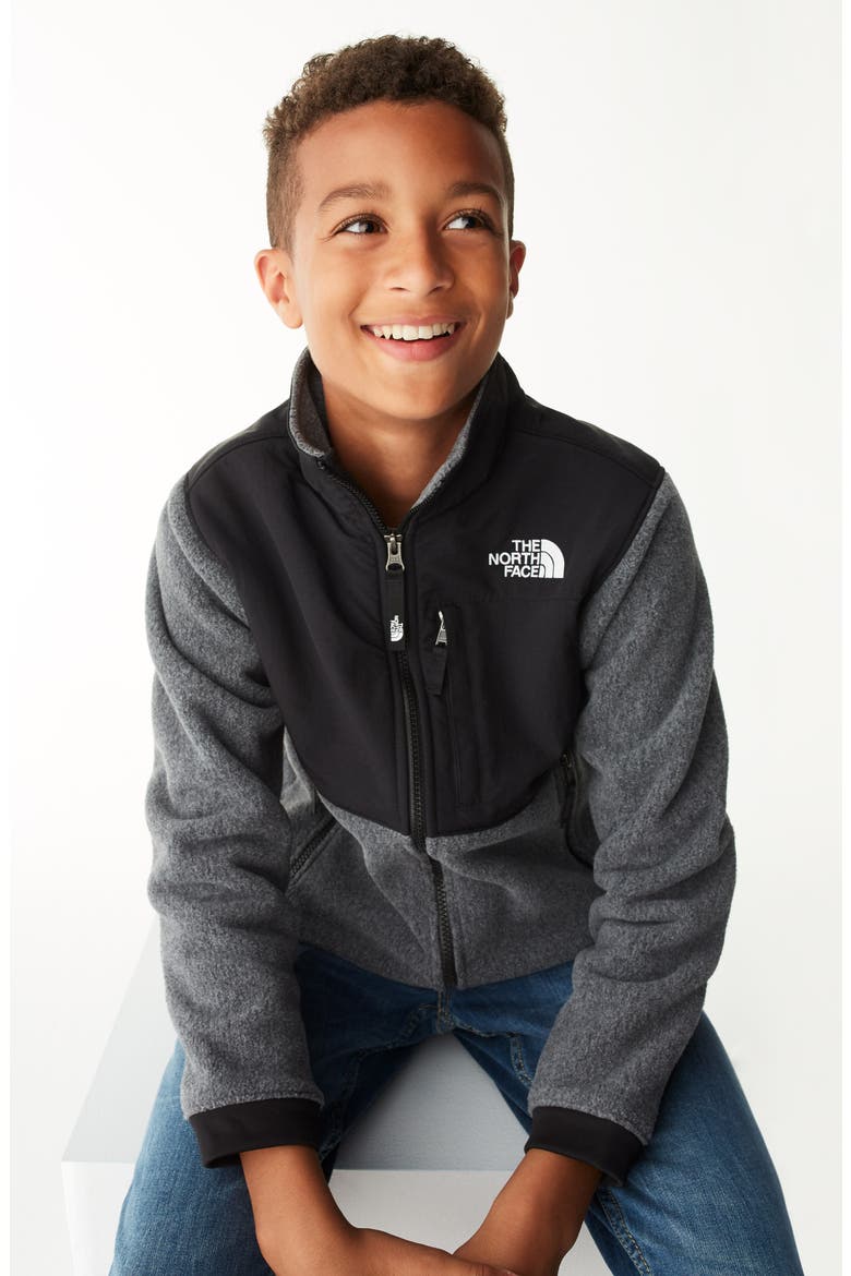 Denali Hooded Jacket, Alternate, color, TNF MEDIUM GREY HEATHER