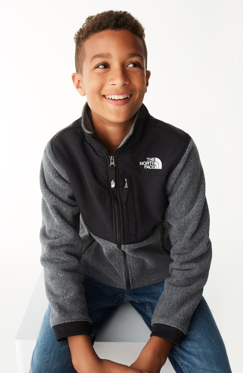 The North Face Denali Hooded Jacket, Alternate, color, 