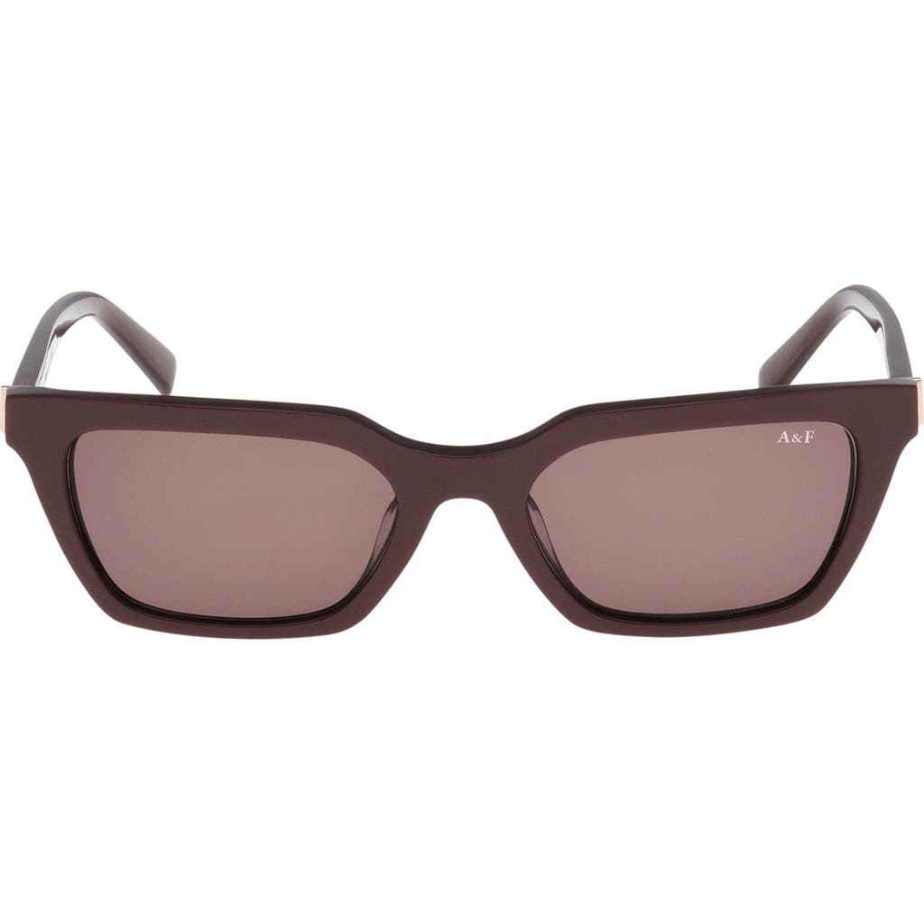 Abercrombie & Fitch 52mm Cat Eye Sunglasses In Brown