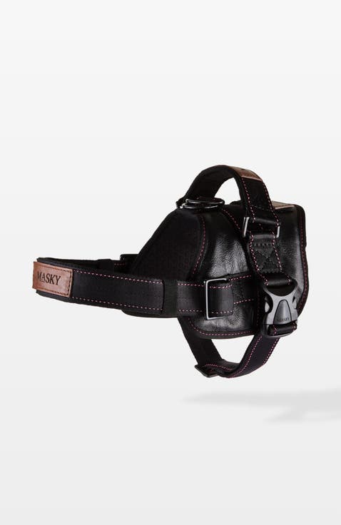 Signature Leather Dog Harness