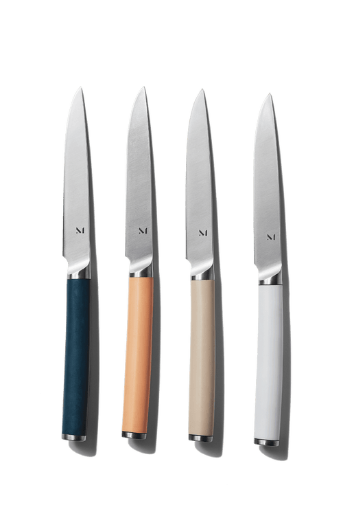 Material Matte Stainless Steel Set Of 4 Table Knives And Holder In Willow