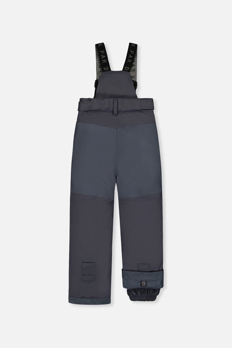 Play Cordura Reinforced Adjustable Suspenders Snow Pants, Alternate, color, Cool Dark Grey