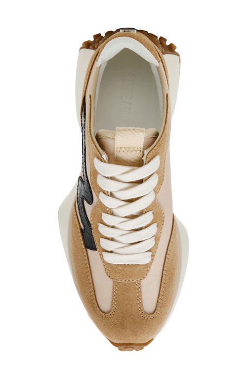 Steve Madden Campo Sneaker In Tan/black