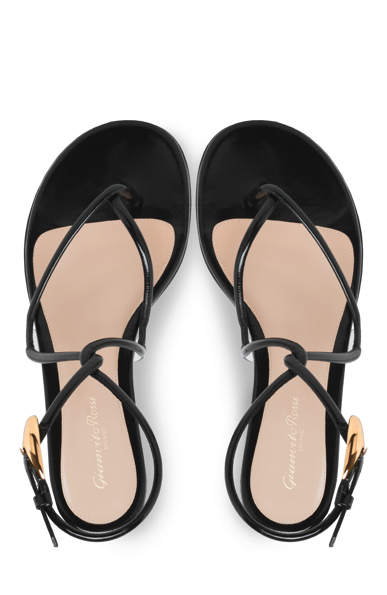 Gianvito Rossi Jungle Mamba Flat Sandals, Alternate, color, Black
