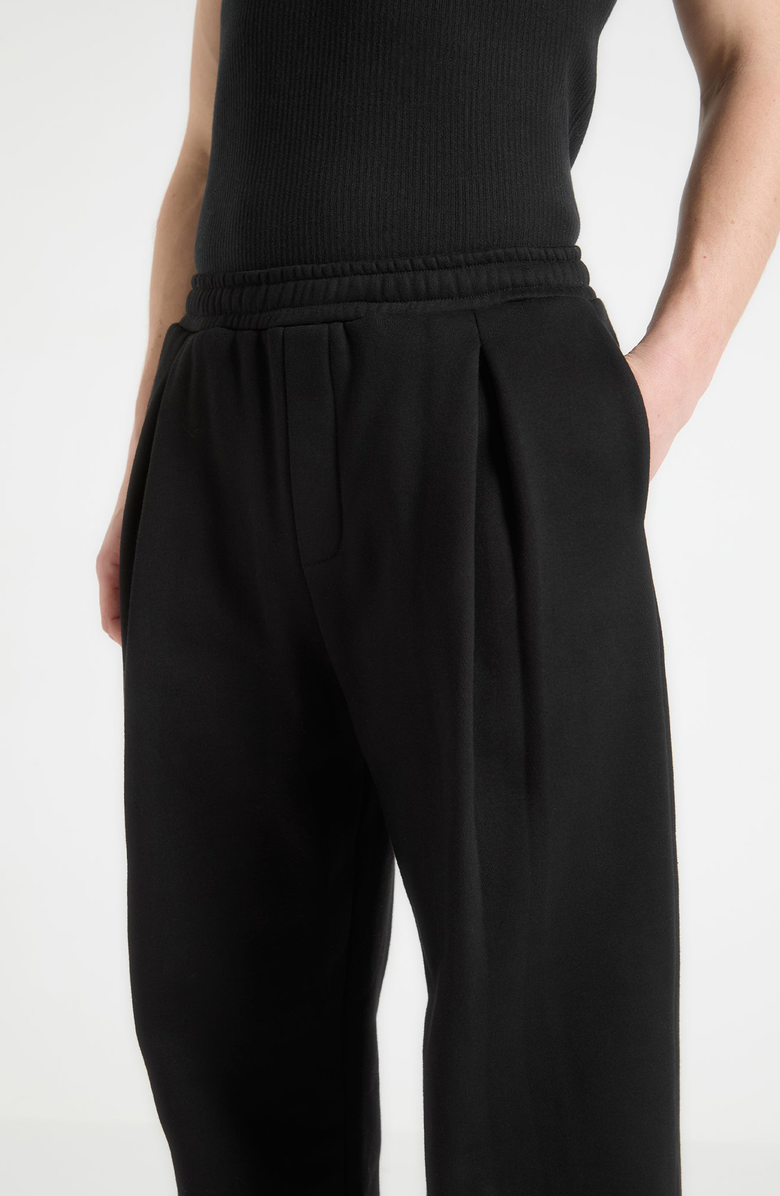 Manière De Voir Cyril Box Pleated Relaxed Jogger, Alternate, color, 