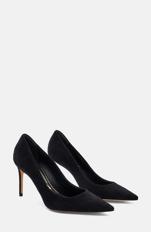 Scarosso Gigi Pumps
