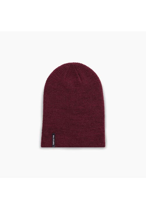 Turtle Fur Frostline Slouch Beanie In Burgundy