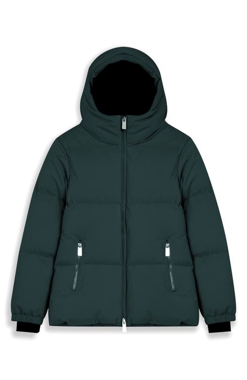 Noize Stacy Water Resistant Hooded Puffer Jacket In Green