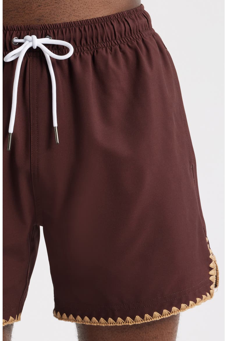 Espresso Stitch Waterproof Swim Trunks, Alternate, color, BROWN