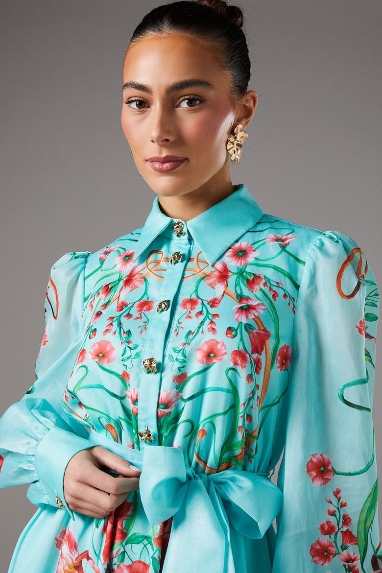 Border Print Organza Shirt Dress, Alternate, color, Mint
