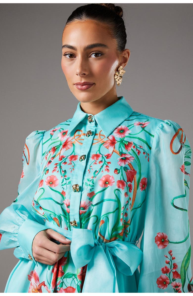 Coast Border Print Organza Shirt Dress, Alternate, color, Mint