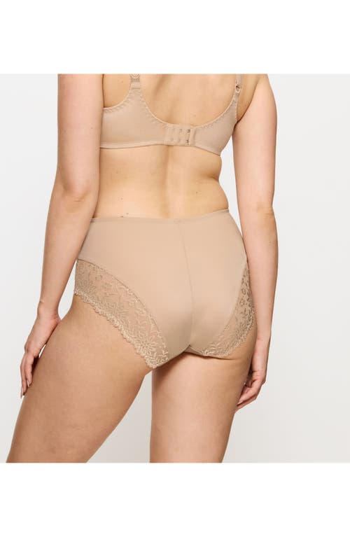 Triumph Ladyform Soft Brief Panties In Nude