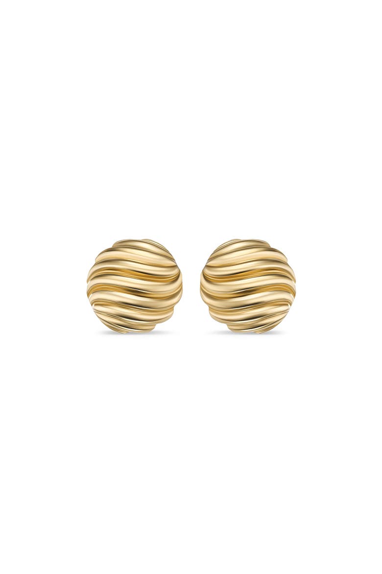 Sculpted Cable Earrings in Gold, Main, color, GOLD