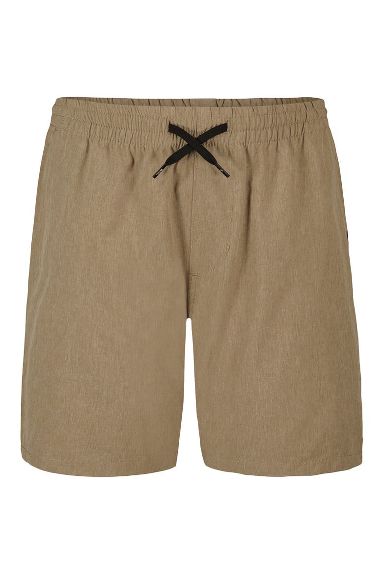 Kids' Eddie Hybrid Shorts, Main, color, SENECA ROCK HEATHER