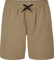 Quiksilver Kids' Eddie Hybrid Shorts