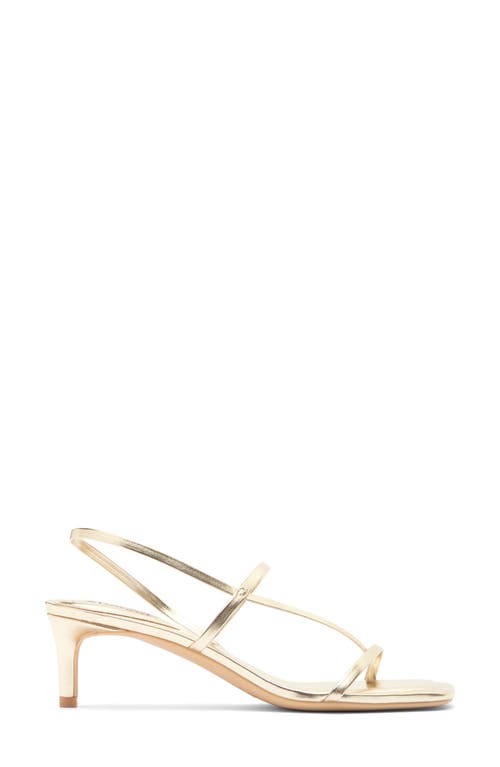 Abound Petra Kitten Heel Sandal In Gold