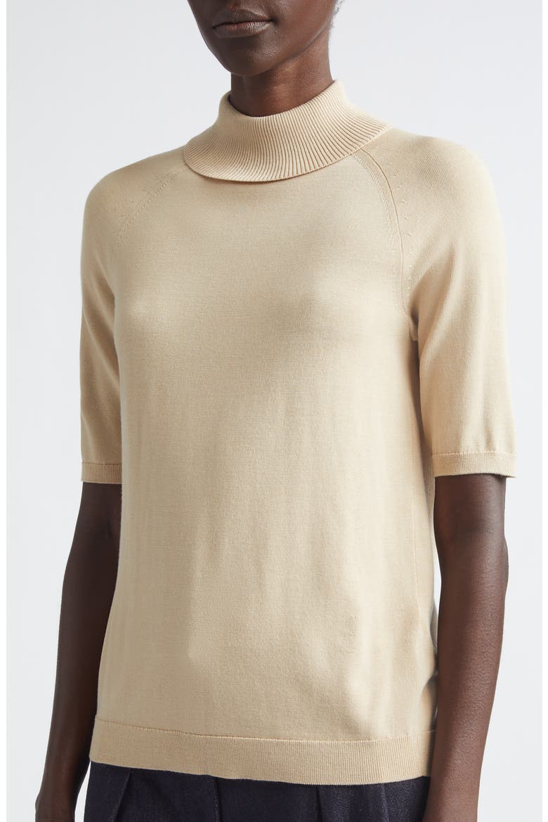 Raglan Sleeve Turtleneck Sweater, Alternate, color, PLASTER