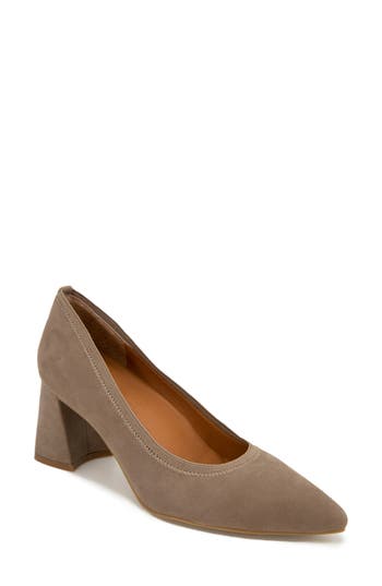 Gentle Souls Dionne Pointed Toe Pump In Brown