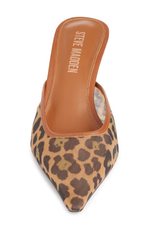 Steve Madden Lisbeth Pointed Toe Mule