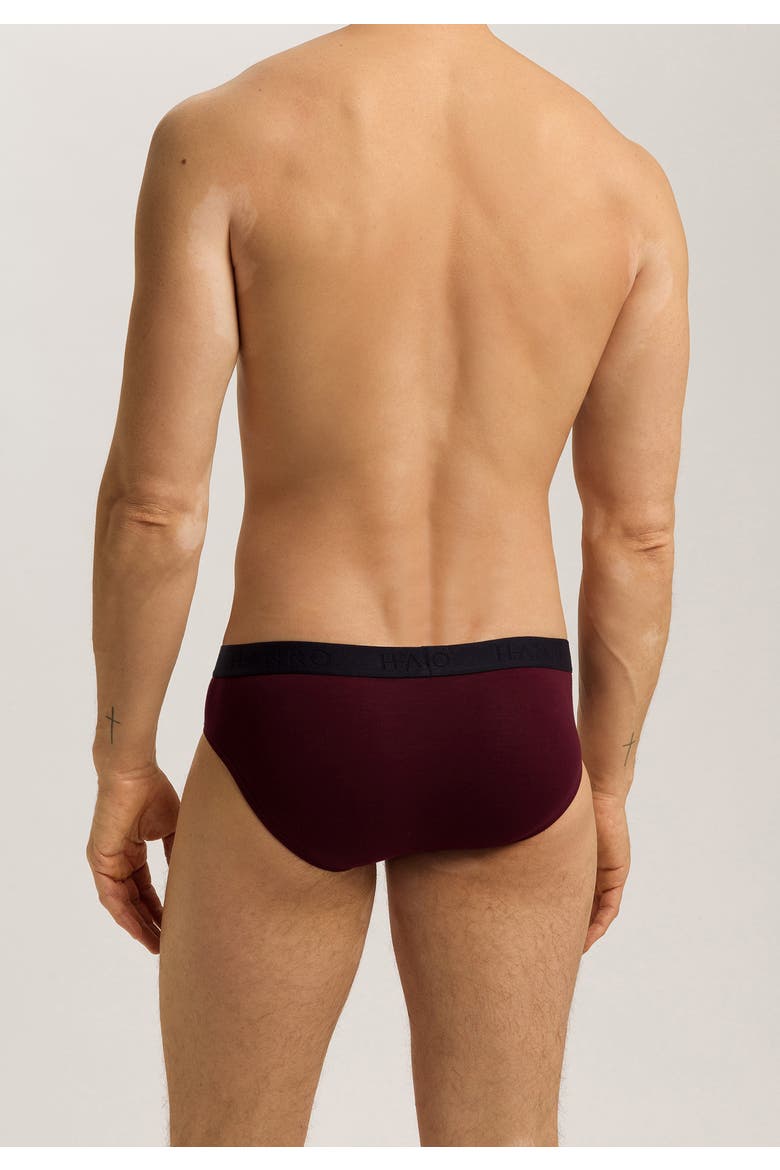 Cotton Essentials 2-Pack Cotton Briefs, Alternate, color, Barolo / Ombre Blue