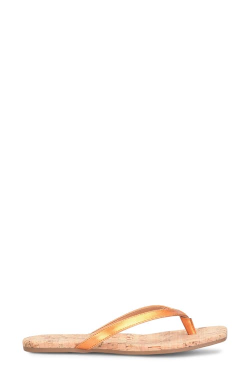Korks Winnie Flip Flop In Orange