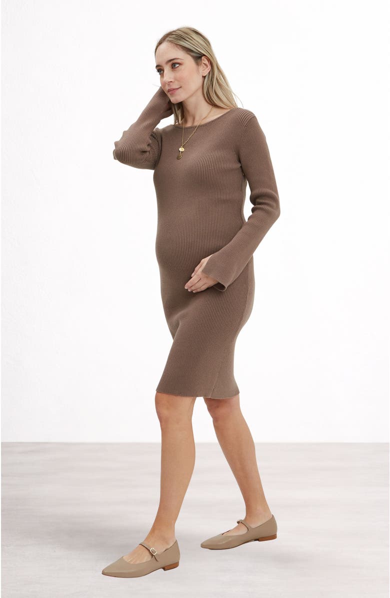 Nom Maternity Hudson Maternity & Nursing Long Sleeve Dress, Alternate, color, Taupe